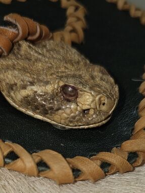Rattlesnake Purse with Leather Braided Trim - Tan & Black